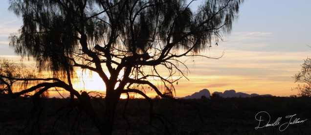 Outback SunsetSig